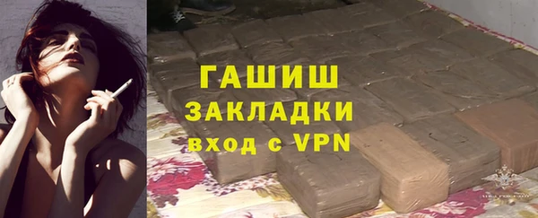 гашик Алексин