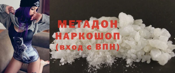 гашик Алексин