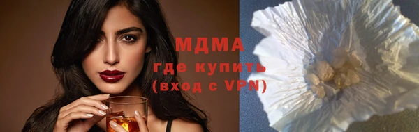 гашик Алексин