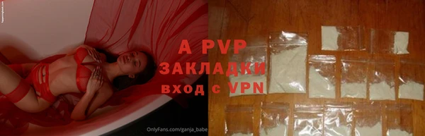 индика Алексеевка