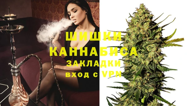 индика Алексеевка