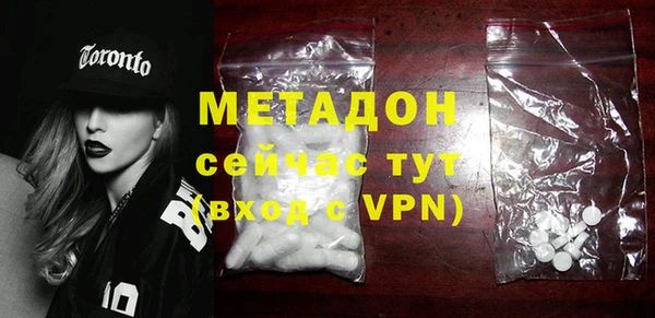 гашик Алексин