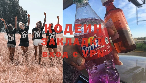 гашик Алексин