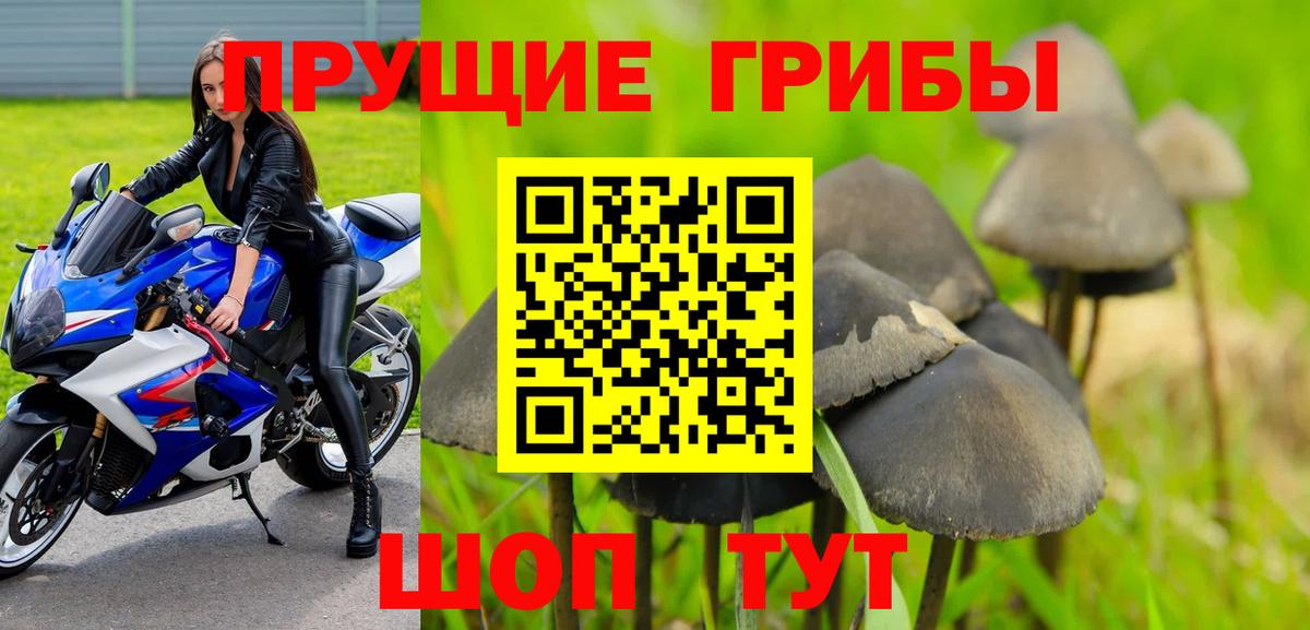 купить  сайты  Галлюциногенные грибы прущие грибы  Вход с VPN  Уварово 